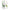 Elizabeth Arden Perfume Spray Green Tea Exotic Edt Spray 100 Ml