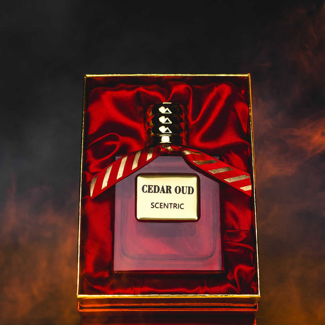 Scentric Cedar Oud Perfume